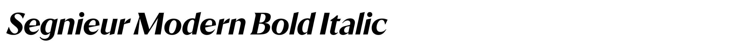 Segnieur Modern Bold Italic